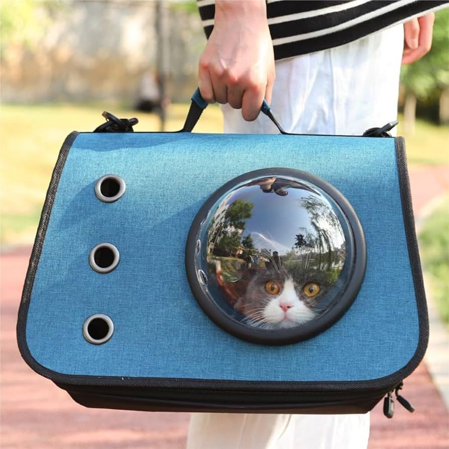 SAC DE TRANSPORT ANIMEUX DE COMPAGNIE